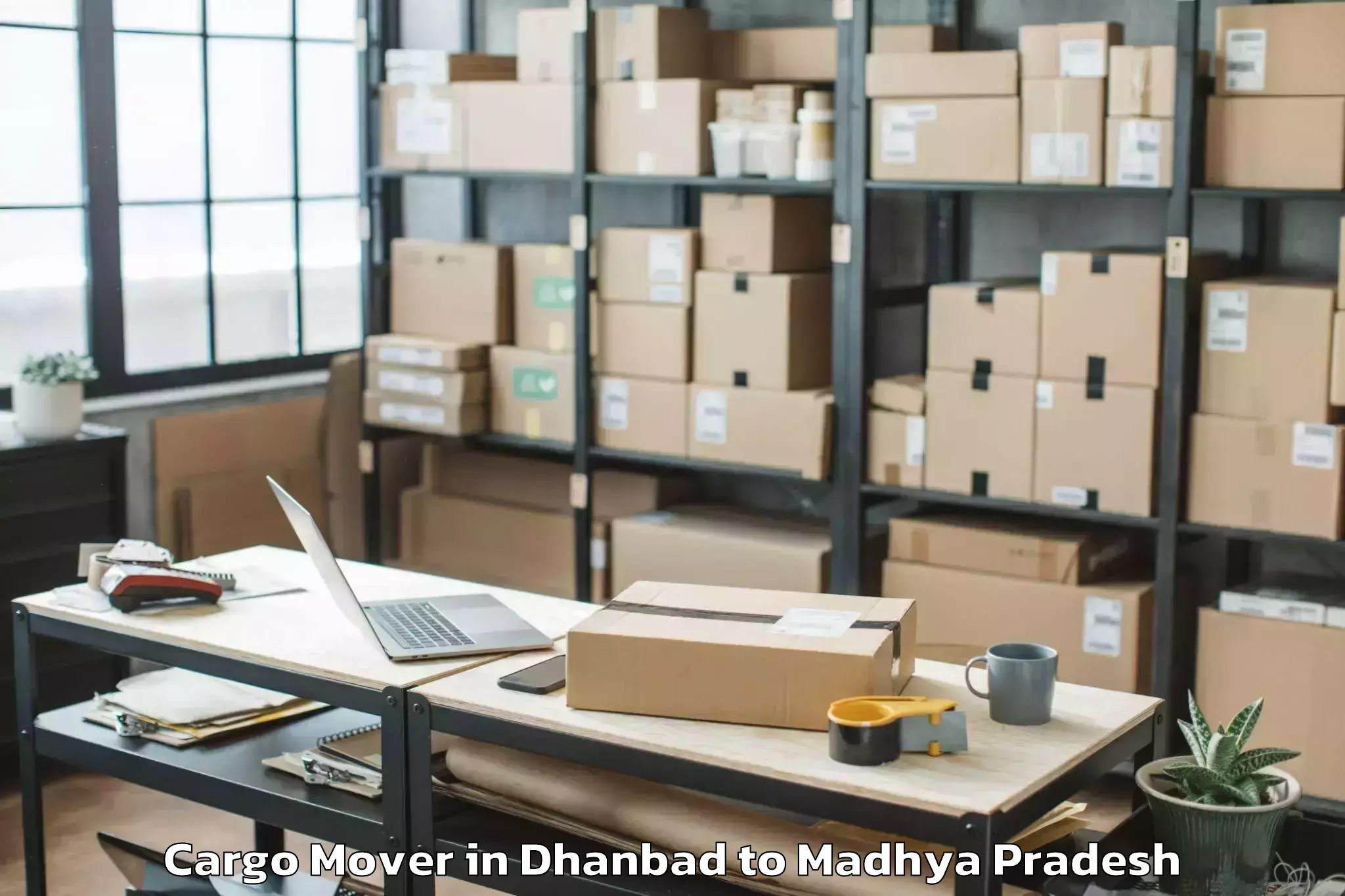 Quality Dhanbad to Raghogarh Vijaypur Cargo Mover